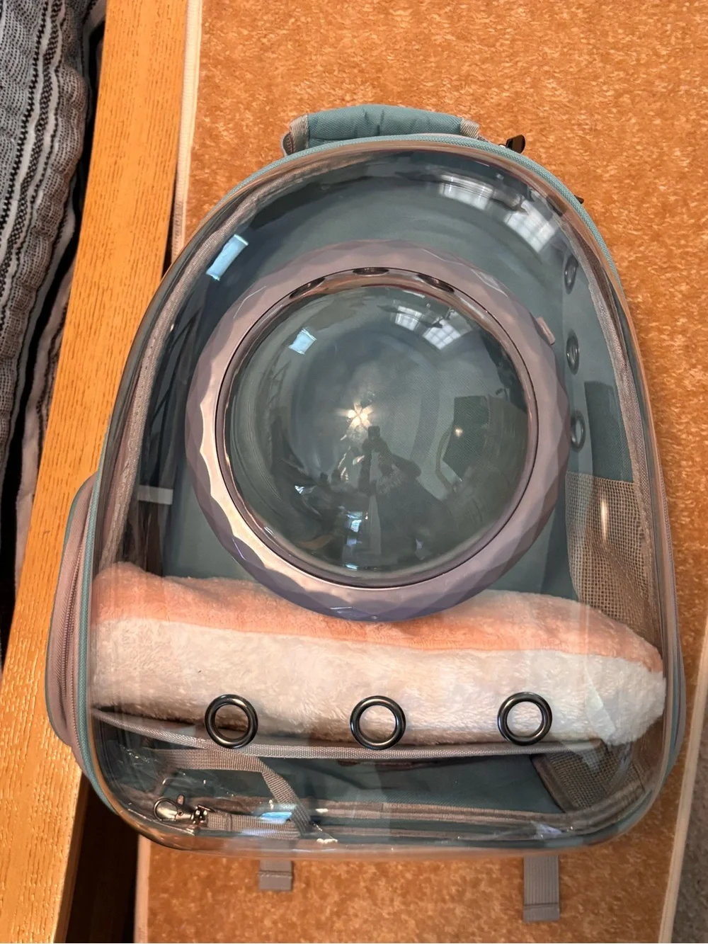 N/A pet carrier